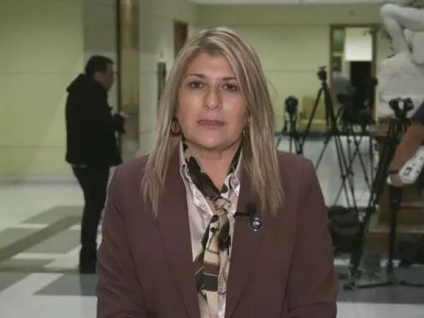 zandra parisi plan reconstruccion PDG