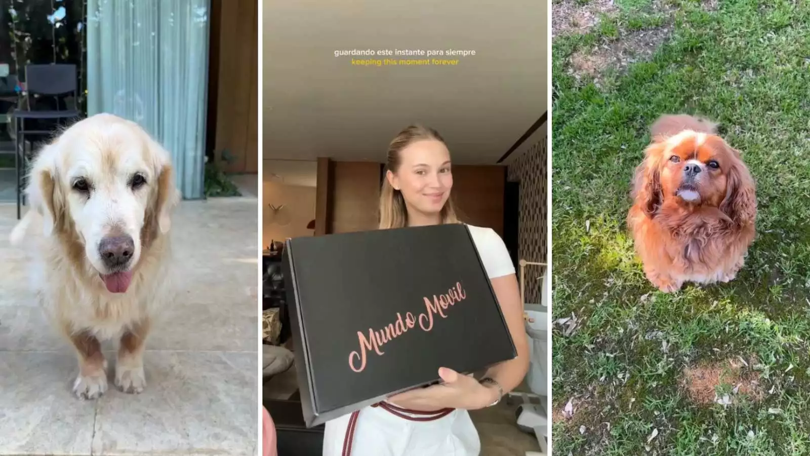 Atom, Alexandra Litvinova y Laika