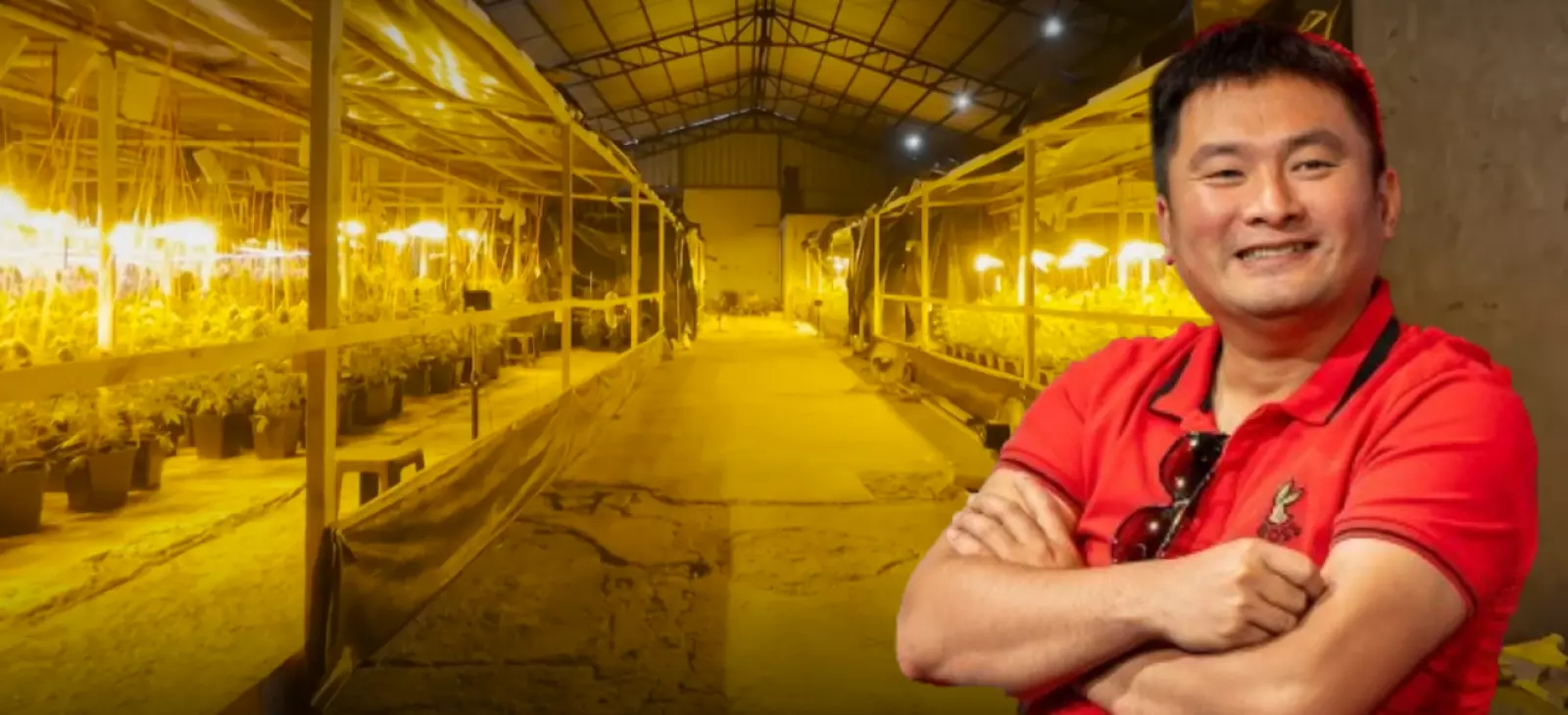 Megabodegas de marihuana en O'Higgins: nexo clave de mafia Bang de Fujian cumplirá pena en libertad