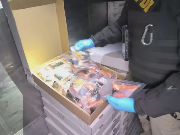 Valdivia abre sumario por funcionario detenido en red de comercio ilegal de productos del mar
