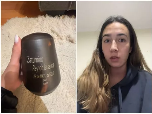 Joven denuncia insólito error de crematorio de mascotas tras muerte de su gato