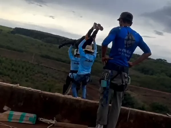salto mujer limeira