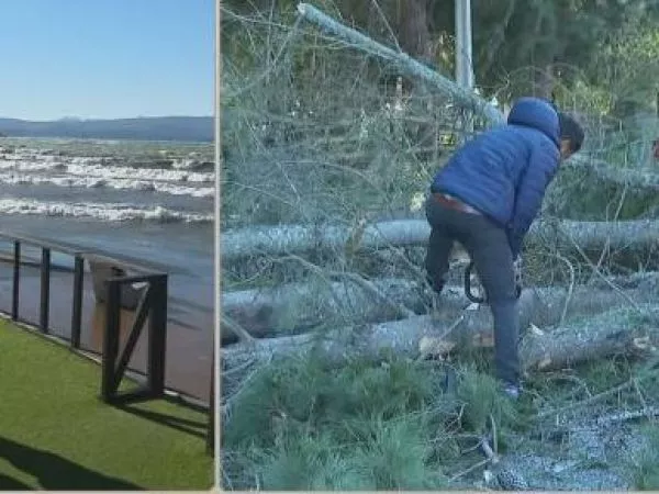 viento la araucania