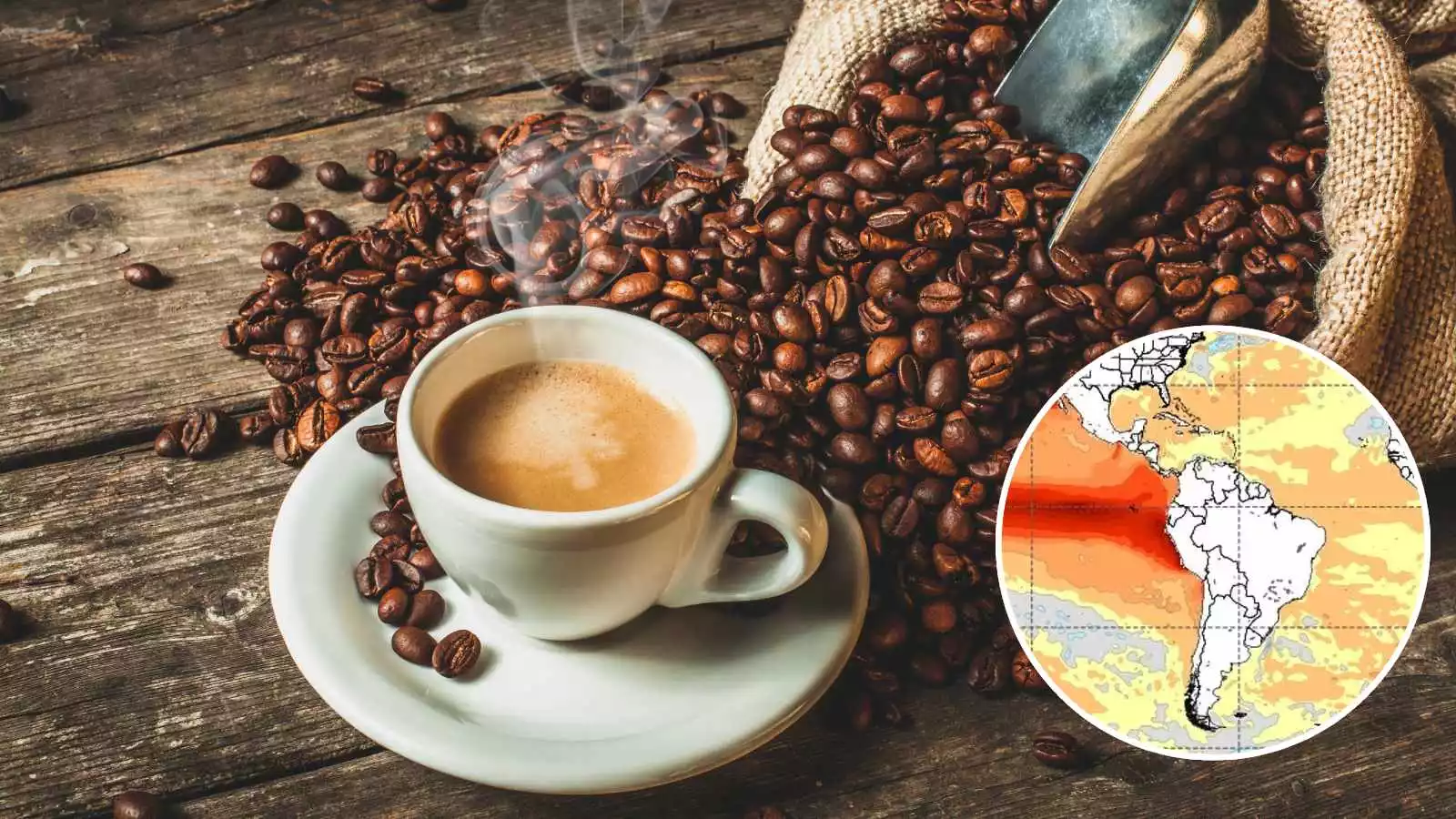 Una taza de café, granos de café y mapa referencial del fenómeno de El Niño
