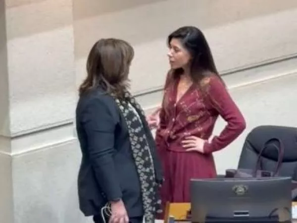 Senadora Daniella Cicardini y presidenta del Partido Socialista, Paulina Vodanovic.