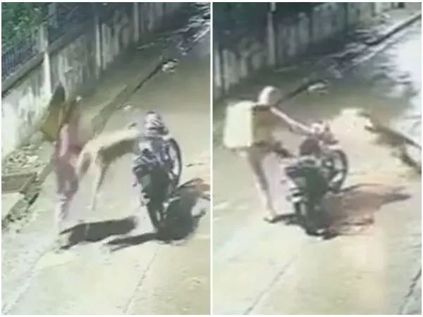 delivery se salvó por segundos de ser atacado por un leopardo en India