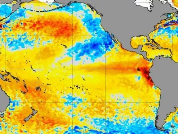 el niño