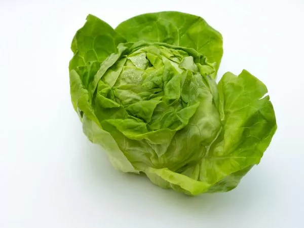 Taco Bell lechuga
