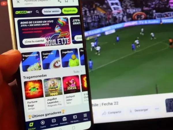 apuestas en linea sii