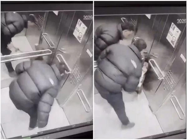 captan brutal agresión de hombre a su perro dentro de ascensor en Ñuñoa