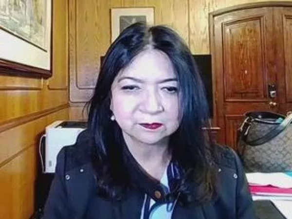 alcaldesa pizarro seguridad