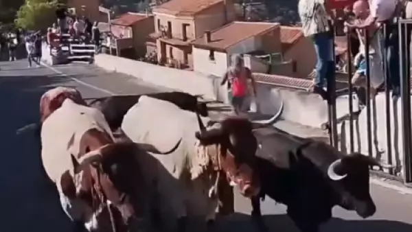encierro toro albacete