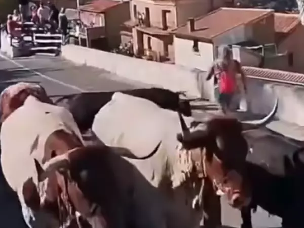 encierro toro albacete